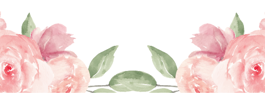 elmento ultimo meredith