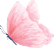 mariposasa meredith 2