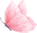 mariposasa meredith 2